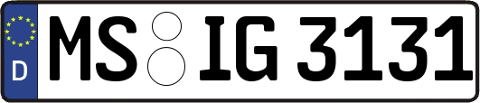 MS-IG3131