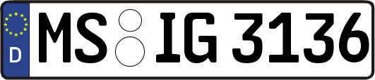 MS-IG3136