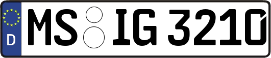 MS-IG3210