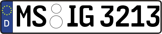 MS-IG3213