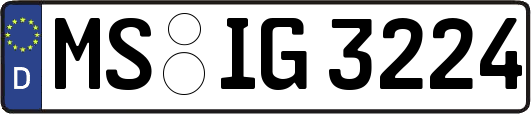 MS-IG3224