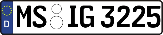MS-IG3225