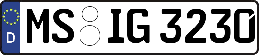 MS-IG3230