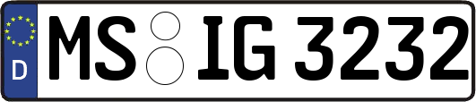 MS-IG3232