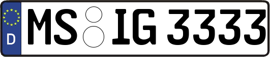 MS-IG3333