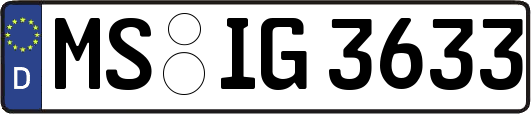 MS-IG3633