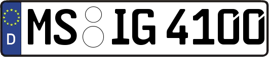 MS-IG4100