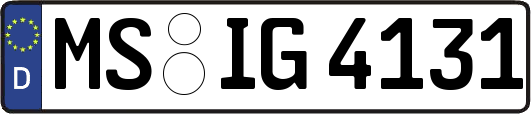 MS-IG4131