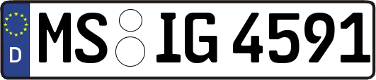 MS-IG4591