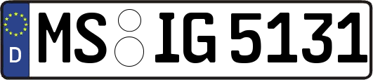 MS-IG5131