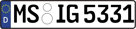 MS-IG5331