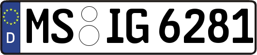 MS-IG6281