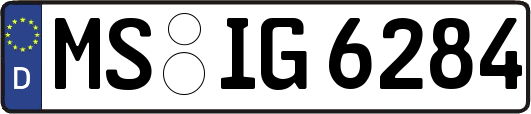 MS-IG6284