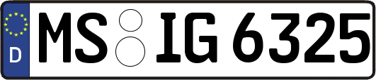 MS-IG6325