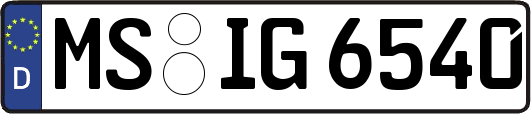 MS-IG6540