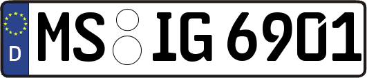 MS-IG6901