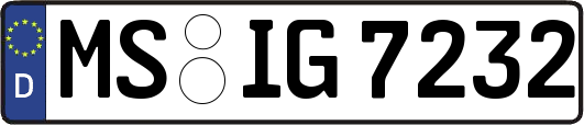MS-IG7232