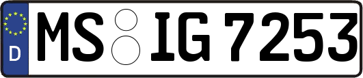 MS-IG7253