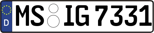 MS-IG7331