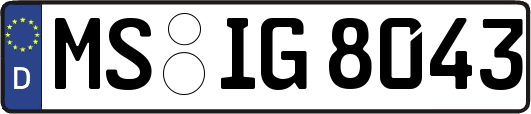 MS-IG8043