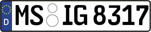 MS-IG8317