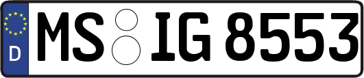 MS-IG8553