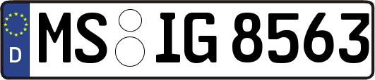 MS-IG8563
