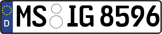 MS-IG8596