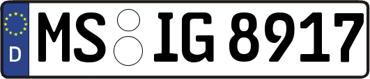 MS-IG8917