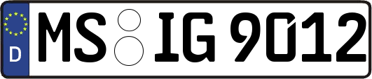 MS-IG9012
