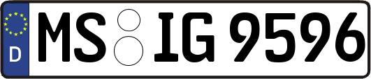 MS-IG9596