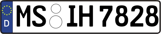 MS-IH7828