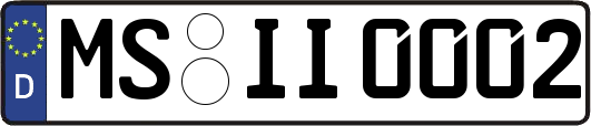 MS-II0002