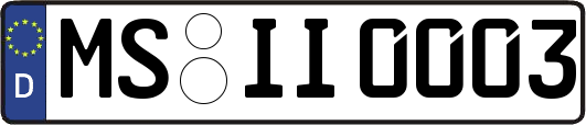 MS-II0003