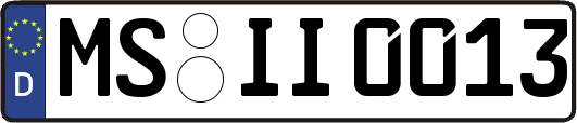 MS-II0013