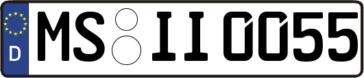 MS-II0055