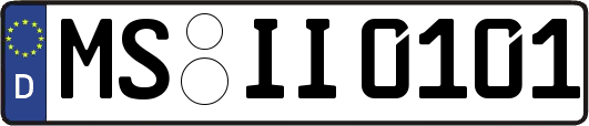 MS-II0101