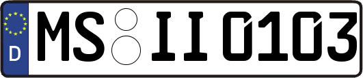 MS-II0103