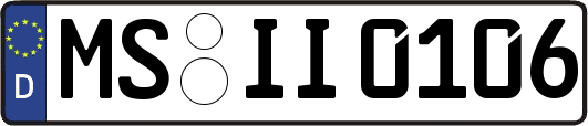 MS-II0106