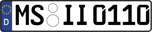 MS-II0110