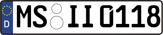 MS-II0118