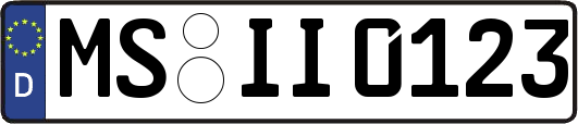 MS-II0123