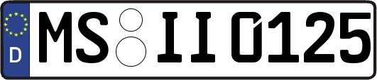 MS-II0125