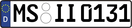 MS-II0131