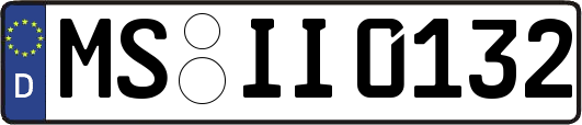 MS-II0132