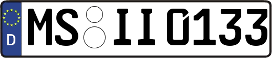 MS-II0133