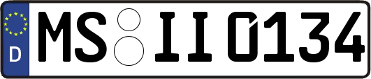 MS-II0134