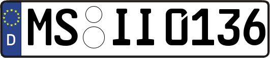 MS-II0136