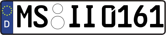 MS-II0161