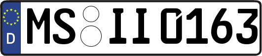 MS-II0163